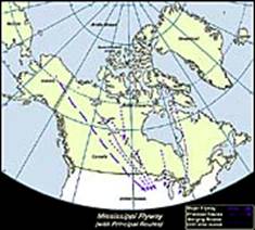 Mississippi Flyway with Principal Routes