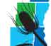 Southeastern Wisconsin Invasive Species Consortium